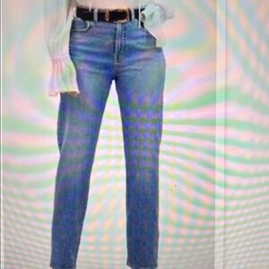 NWT Madewell Light Blue Denim Jeans 27P